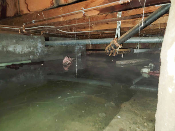 Best Commercial water damage restoration  in Haskell, AR