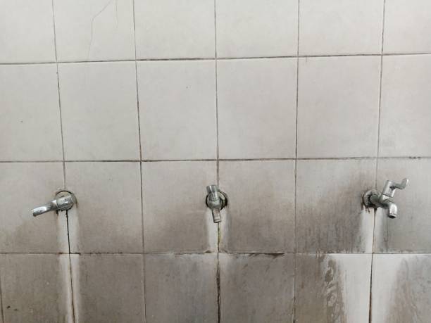 Best Sewage cleanup and water damage restoration  in Haskell, AR