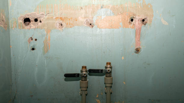 Best Residential water damage restoration  in Haskell, AR
