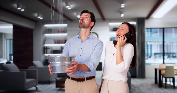 Best Professional water damage repair  in Haskell, AR